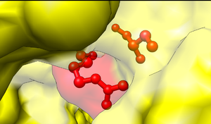 Figure 3. Close-up view of the unbound active site. Arg (603) is believed to recharge the catalytic Cys (600) once ubiquitin has been transferred to the E2 enzyme.[2]