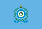 Flag of the United Arab Emirates Air Force