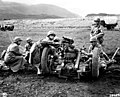 Image 10US Army training in Iceland in June 1943. (from History of Iceland)