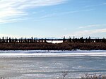 A frozen river passes through flat country. Short trees grow on the riverbanks; tall mountains are in the far distance.