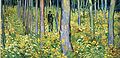 A couple are walking in the woods. There are flowers everywhere and the tree trunks are violet. The couple seem almost to merge into the woods.