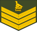 Staff sergeant (Zimbabwe National Army)