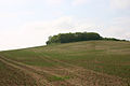 Ashingdon Hill, likely location of King Edmund's camp.
