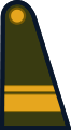 Sargento primero (Argentine Army)[11]