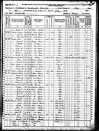 1870 federal census of Ross County, Ohio; the enumerator broke protocol to note of Madison Hemings, "This man is the son of Thomas Jefferson."