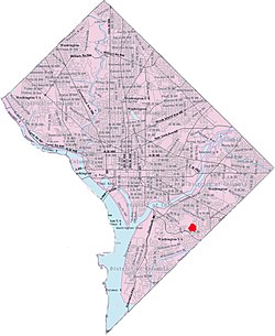Woodland within the District of Columbia