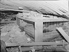 A Morrison shelter containing a dummy, after the house it was in had been destroyed as a test