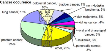 Most common cancers in US males, by occurrence[20]