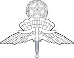 Army & Air Force Master HALO/HAHO Badges