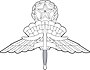 US Military Master Free Fall Parachutist Badge