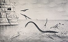 Old inaccurate drawing of elasmosaur raising its neck from ocean with pterosaurs, mosasaurs, swimming birds, and other elasmosaurs and a cliff in foreground and background