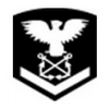 LC-4 Petty Officer Third Class Sleeve Insignia