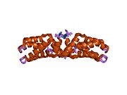 1rso: Hetero-tetrameric L27 (Lin-2, Lin-7) domain complexes as organization platforms of supra-molecular assemblies