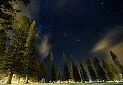 View of the night sky from inside of Dole Park