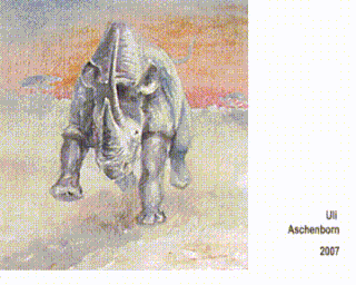 Video g: Attacking Rhino, by passing this chameleon-painting its colour changes as shown, 2007, 100 x 100 x 4 cm
