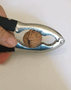Video of cracking a walnut