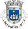 Coat of arms of Figueira da Foz