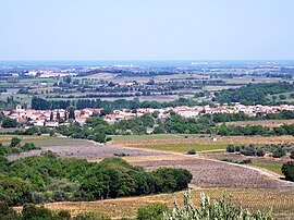 A general view of Llupia