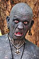 Lucky Diamond Rich, the world's most tattooed man. Great name, great fact, brilliant photo! (Particularly his expression!) Suggested by User:CountdownCrispy.