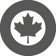 Low visibility tactical grey roundel used by Air Command/current RCAF