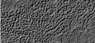 Surface of crater floor showing details from image taken with HiRISE, under HiWish program. This may be a transition from one type of structure to a different, maybe due to erosion.