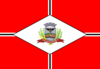 Flag of São José do Rio Preto