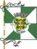 Flag of District of Vila Real