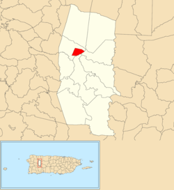 Location of Lares barrio-pueblo within the municipality of Lares shown in red