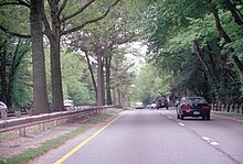 Trees in the center of the Merritt Parkway road