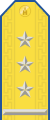 Parade uniform shoulder board (Colonel)