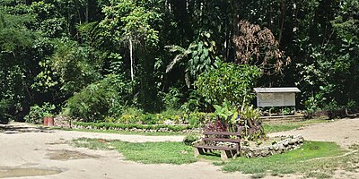 Rove Botanical Gardens, Rove, Honiara Solomon Islands