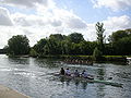 Rowing on the Isis at Christ Church Meadow