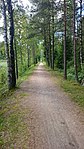 The trail that was previously a railroad track between Uddevalla and Lelången