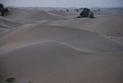 The desert with limited vegetation near Al-Khaznah, between the cities of Al Ain and Abu Dhabi, roughly in the region of Ar-Rub' Al-Khali (The Empty Quarter)
