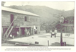 Coffee near Mayagüez in 1899