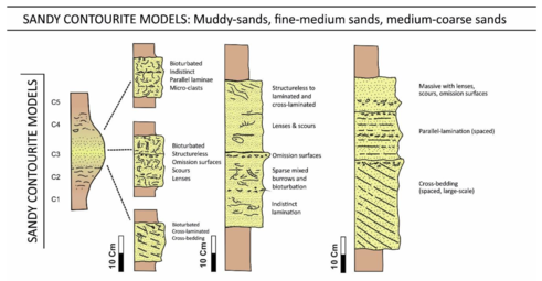 Sandy contourite family for muddy sands, fine-to-medium sands and medium-to-coarse sands [51][28]