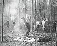 A gunfight in a wooded area
