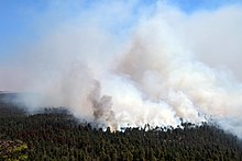 Smoke rising from the Tinder Fire, burning in the Coconino National Forest