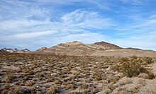 Hundreds of low, widely separated bushes populate a flat expanse of gravel that leads to a set of hills in the distance. The reddish hills, strongly banded by dissimilar rock layers, rise into a blue sky laced with filaments of cloud.