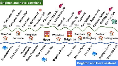 Brighton and Hove downland and seafront