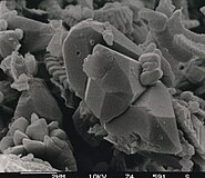 SEM image of a diagenetically altered discoaster