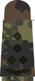 Aufschiebeschlaufen mit schwarzen Em­blemen auf 5-Far­ben-Flecktarn für Luftwaffenuni­formträger (hier: Stabshauptmann)