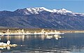 Lee Vining Peak (centered) seen from Mono Lake. Mount Warren to the right.