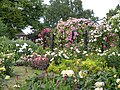 Royal National Rose Society Gardens (2013)