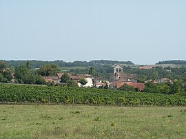 A general view of Singleyrac