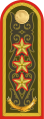 Генерал-Полҝвниҝ General-polkovnïk (Kazakh Ground Forces)[11]