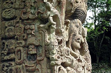Intricately carved portrait of a human face looking to the right, seen almost in profile against a background of trees. The face is surrounded by highly ornate interlocking designs.