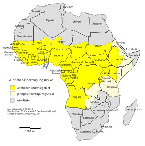 Verbreitung des Gelbfiebers in Afrika