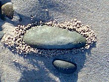 Unexplained crumbs of sand that appear to have been deposited around stone by escaping air