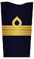 Sleeve insignia for a brigadier general[h] (2003–present)